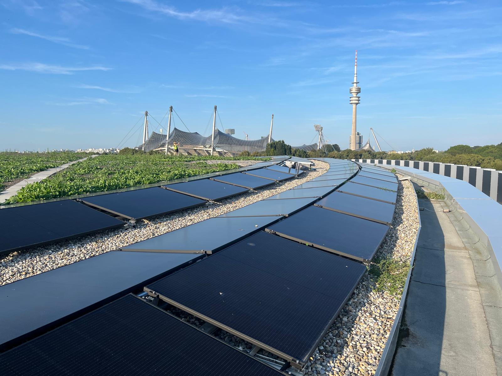 Photovoltaikanlage auf einem Dach im Olympiapark München mit Blick auf Olympiaturm und Zeltdach