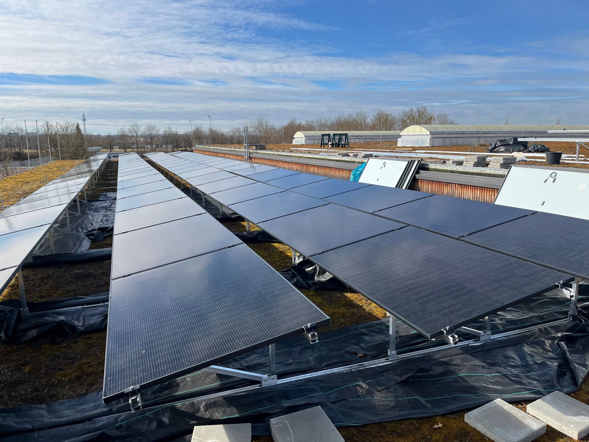 Aufgeständerte PV-Anlage auf Flachdach mit Gründach