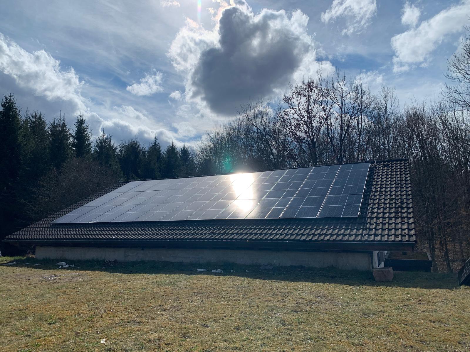 PV-Anlage auf Ziegeldach mit Sonnenreflexion und Waldkulisse