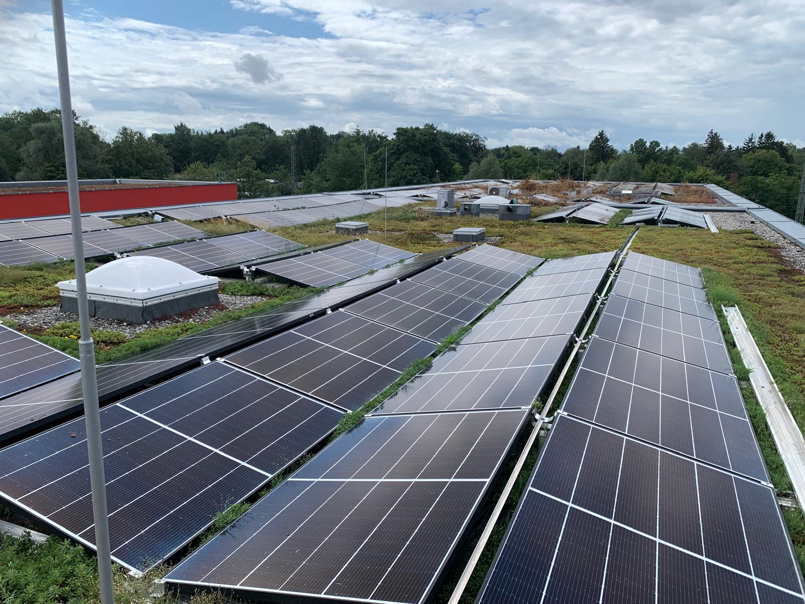 Großflächige PV-Anlage auf Gründach eines Gewerbegebäudes