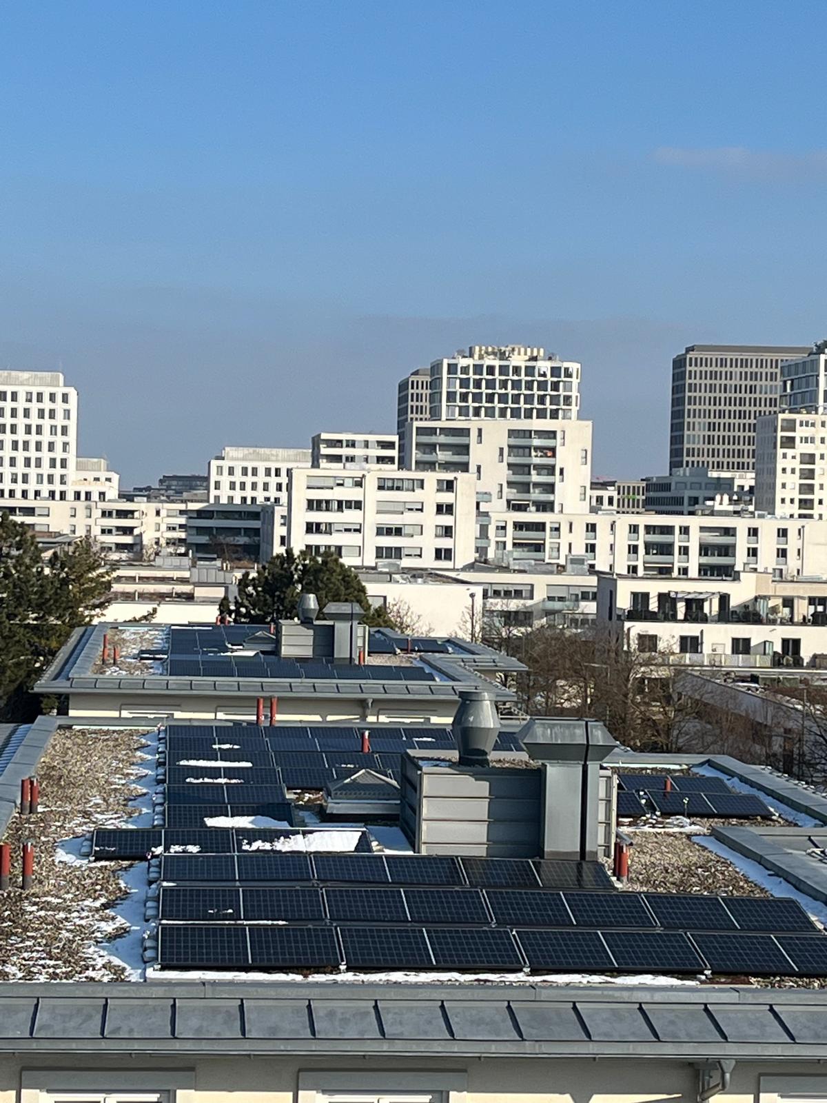 PV-Anlage auf Gründach mit Münchner Skyline im Winter