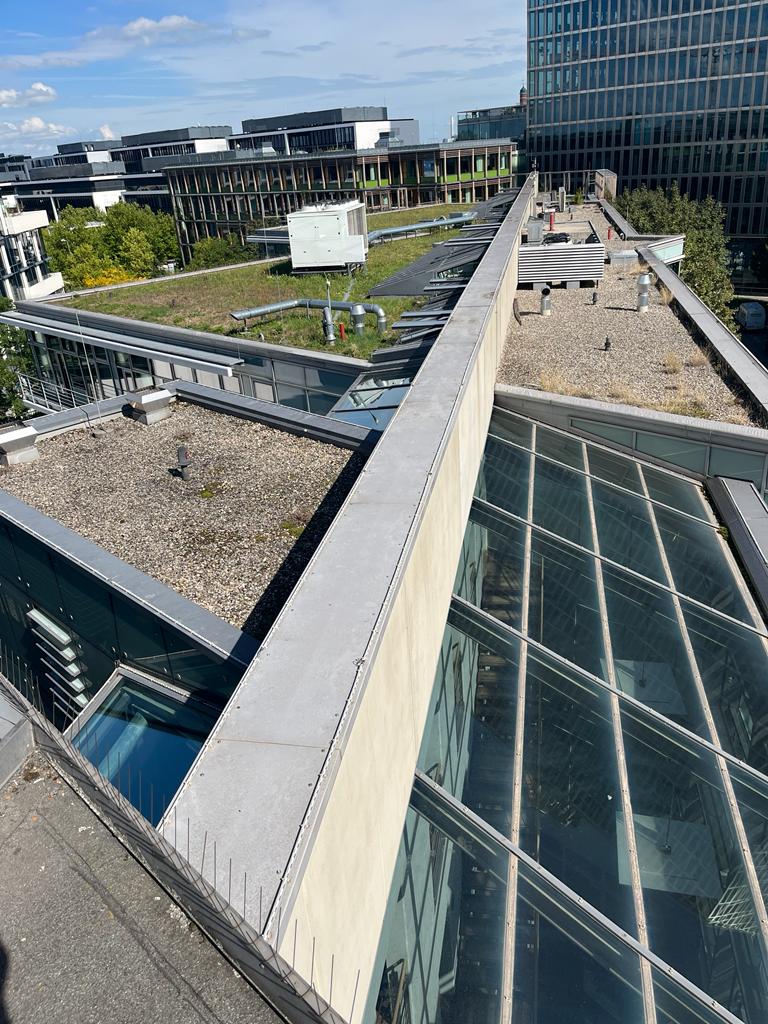 Dachbegrünung und PV-Vorbereitung auf Bürogebäude